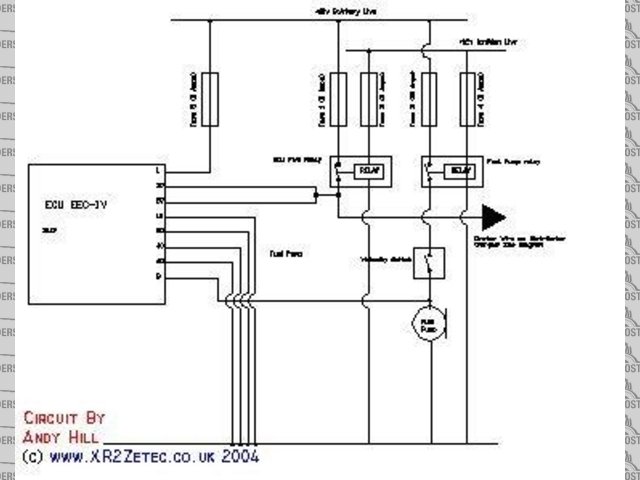 EEC IV ecu wiring